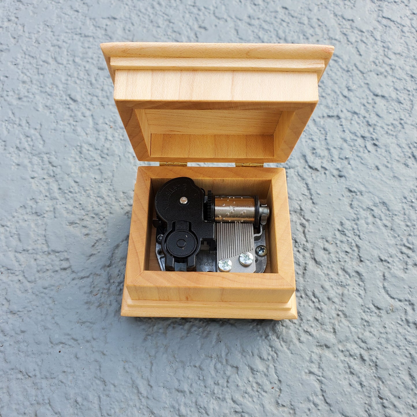 Turtle Music box