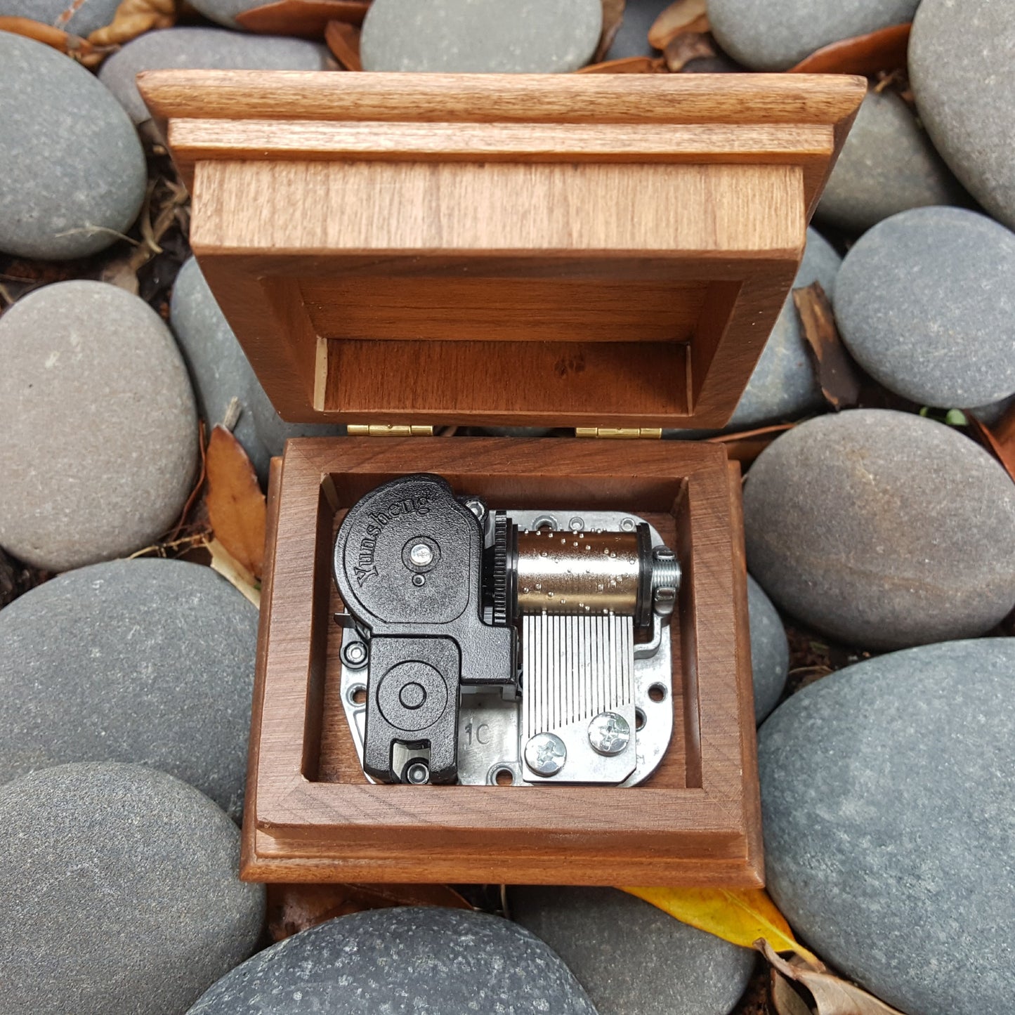 Music box wooden, with an open lid showing the music box movement inside
