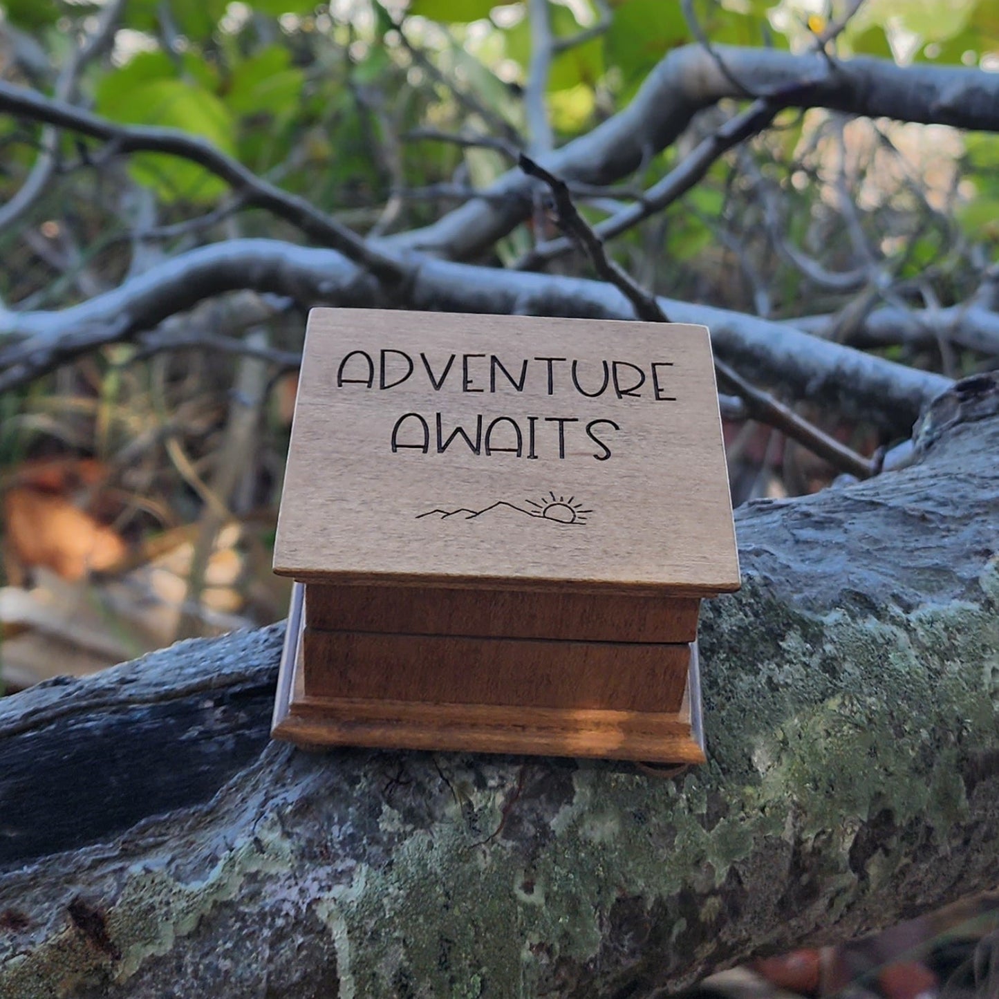 Small wooden music box with Adventure Awaits engraved on top attached to a tree with a blurred background
