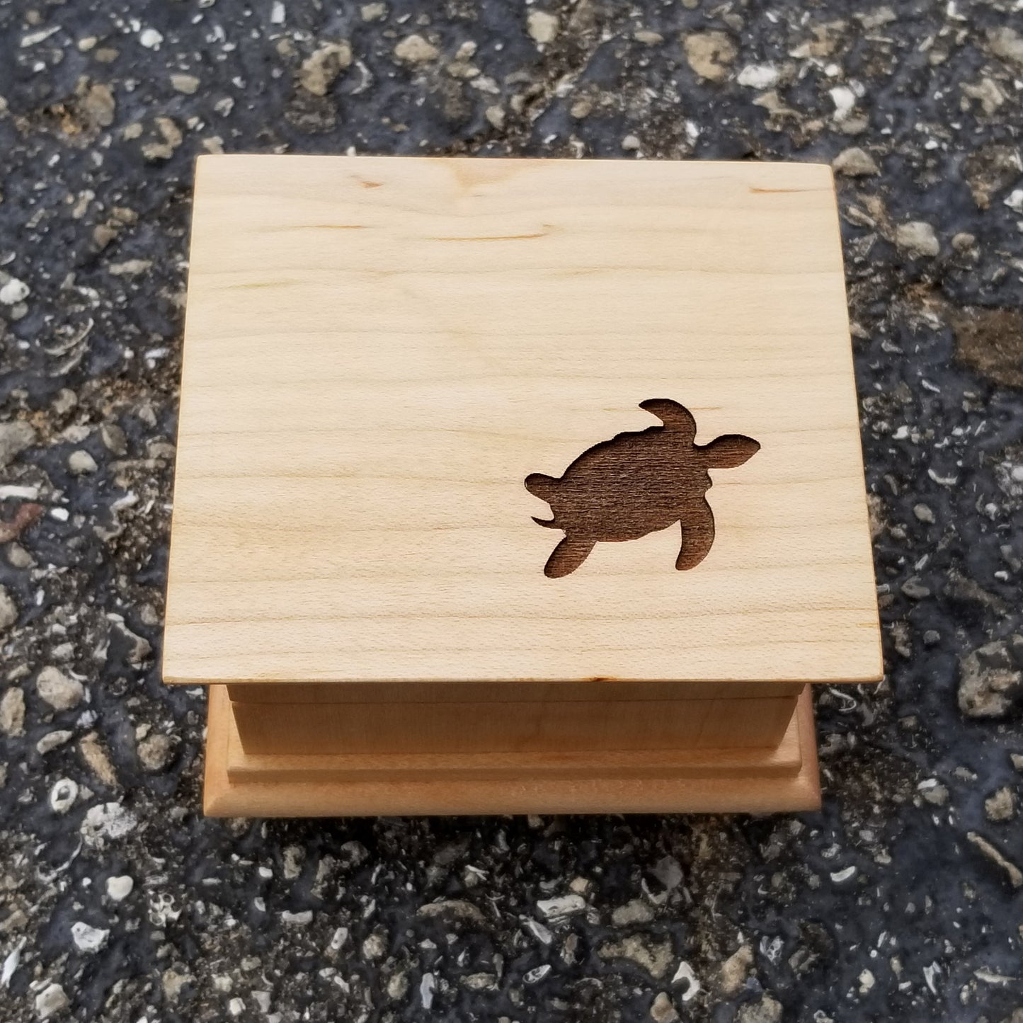 small music box with turtle engraved on top, choose color and song, personalize