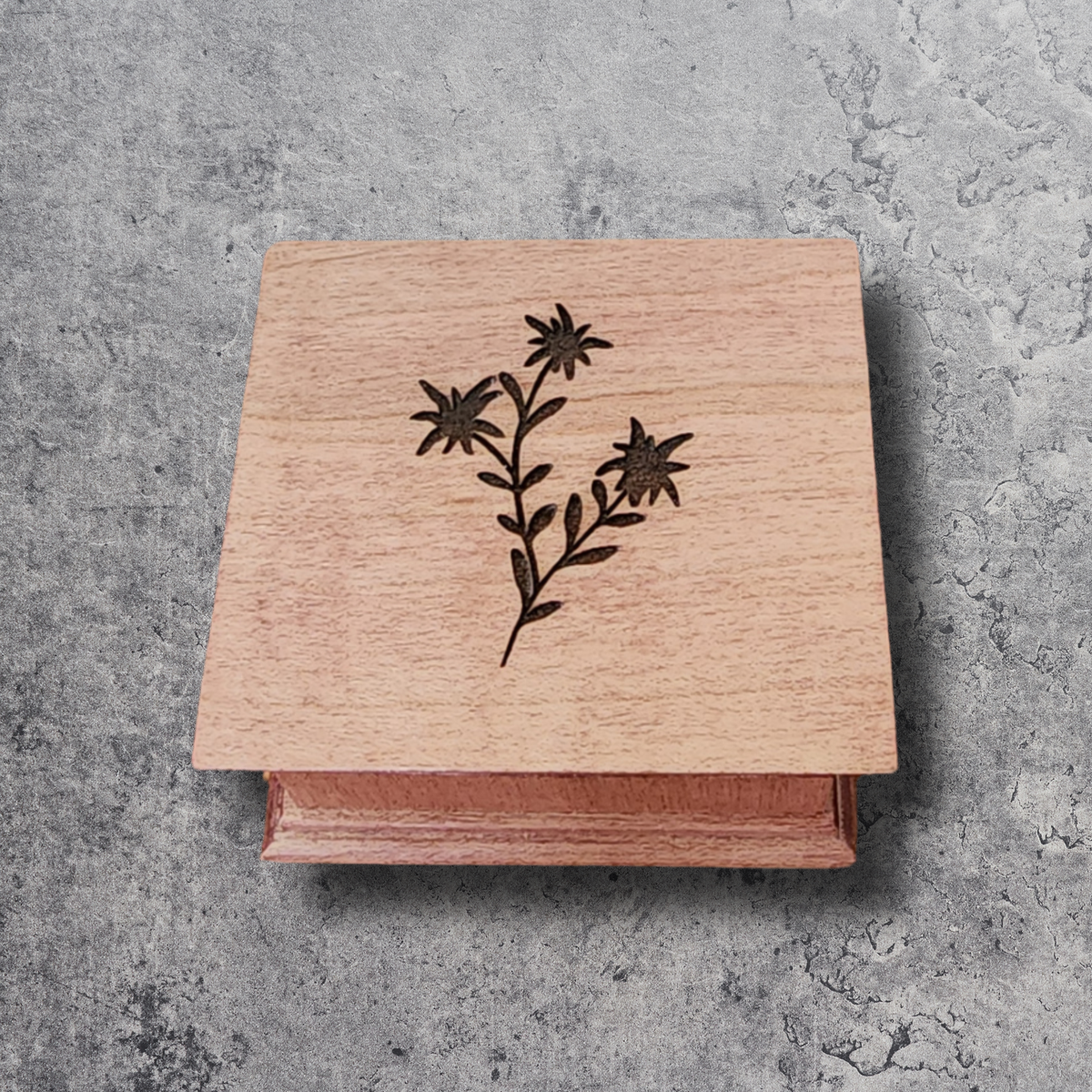Wood music box with edelweiss flower on gray concrete background
