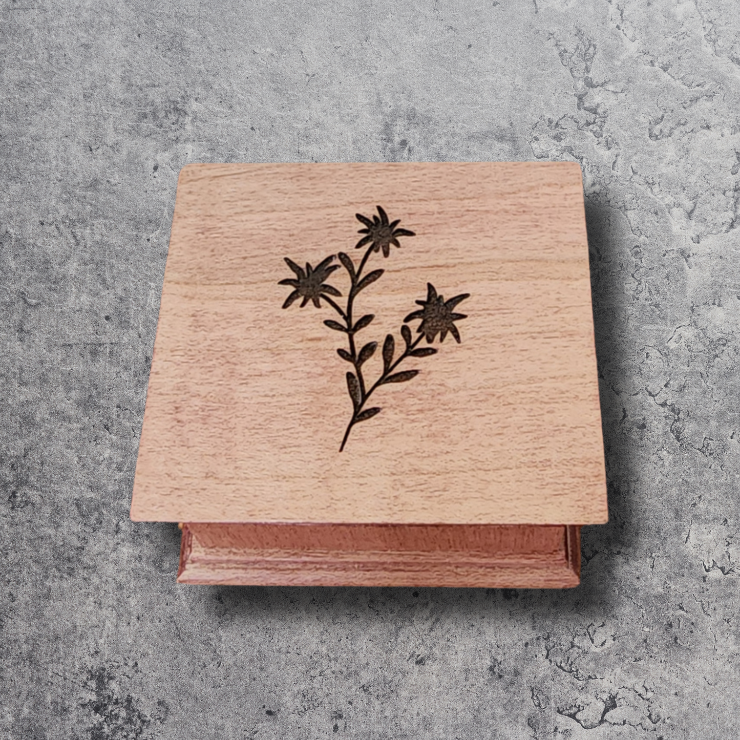 Wood music box with edelweiss flower on gray concrete background